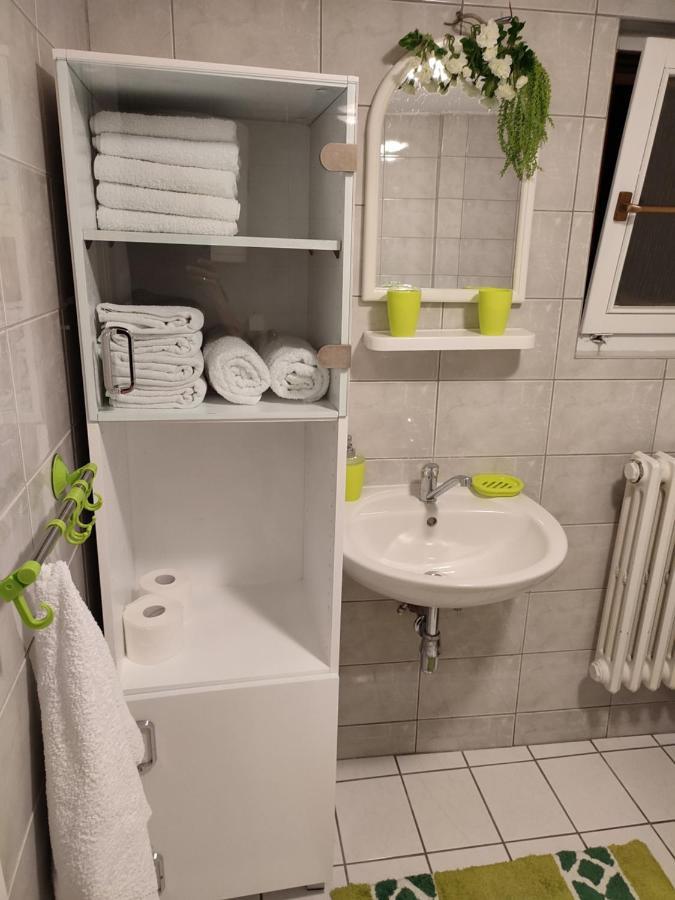 Apartman Stara Pruga 사라예보 외부 사진